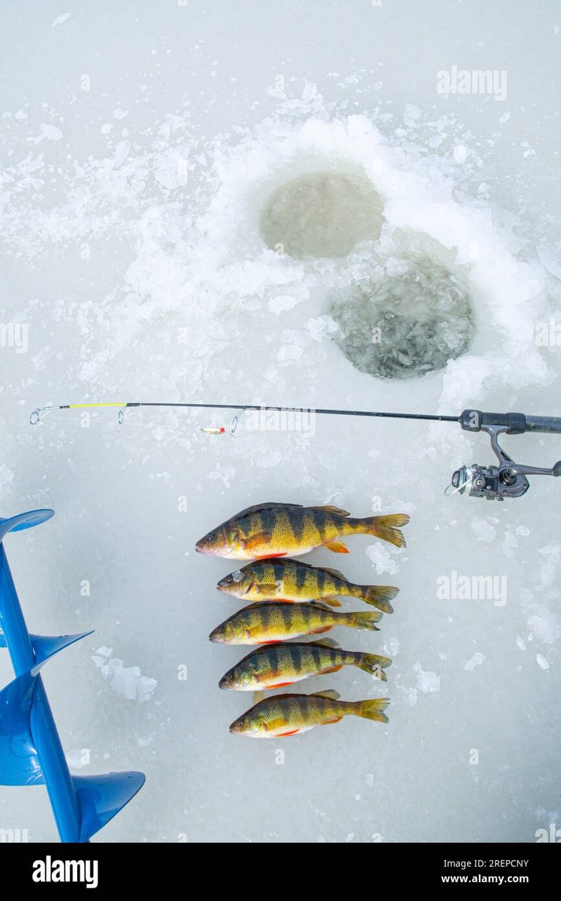 Experience the Thrill of Ice Fishing Live at UK Online Casinos Now, ice fishing game online